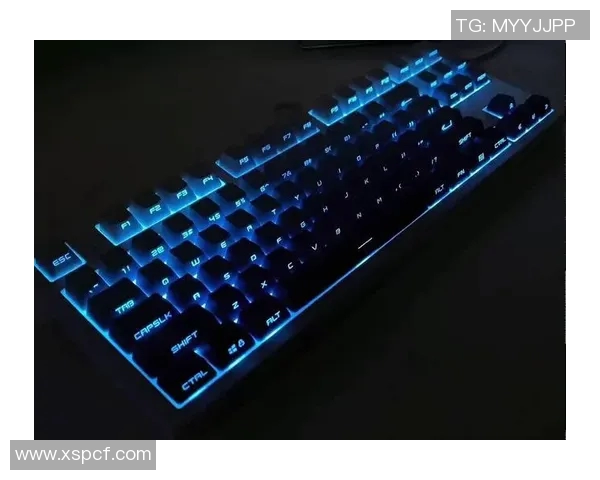 CSGO玩家必看机械键盘推荐助你提升游戏体验与操作精准度