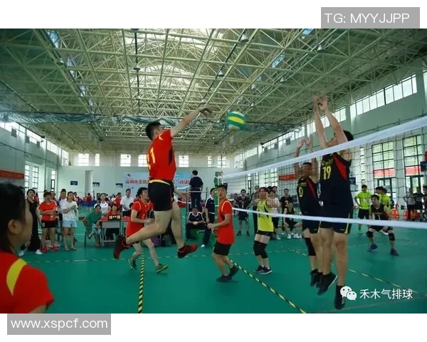 武汉排球队的崛起之路与训练状态揭秘排球巨献