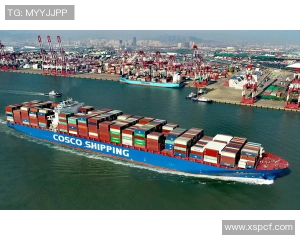 成都飞盘队意识排名创新高引领全国飞盘运动新风潮