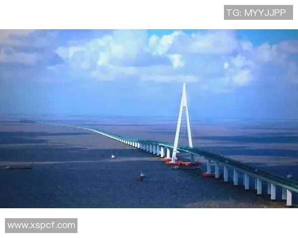 深圳篮球队反击之路:从困境到崛起的全景解析与展望 深圳篮球队反击之路:从困境到崛起的全景解析与展望