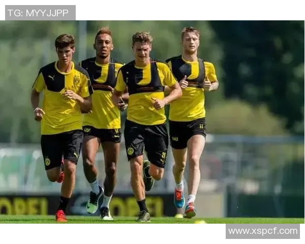 西安足球队的耐力之路：拼搏与坚持的精神传承与发展探讨