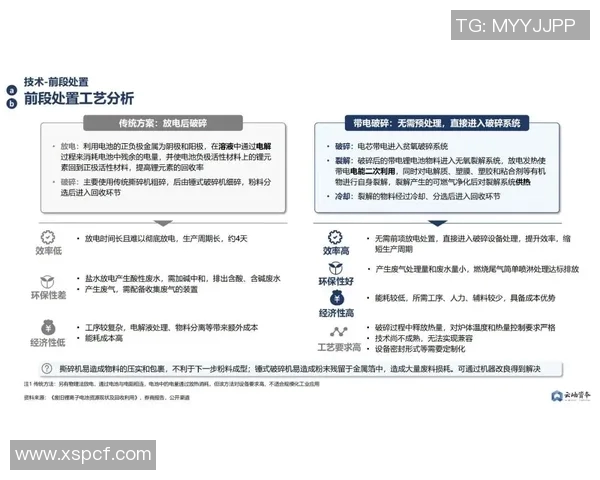 上海网球队的转型之路与杯赛征程的深度剖析与展望