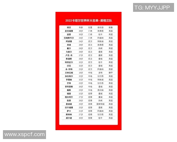 卡塔尔足球明星联赛最新排名分析及球队表现评估